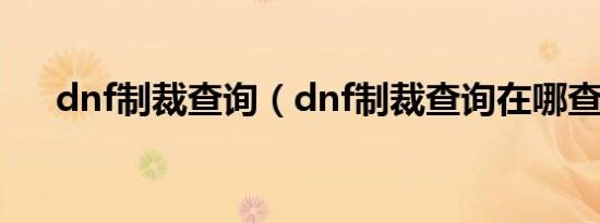 dnf制裁查询（dnf制裁查询在哪查询）