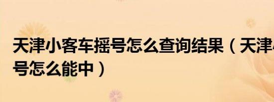 天津小客车摇号怎么查询结果（天津小客车摇号怎么能中）