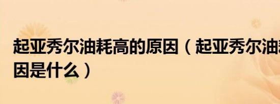 起亚秀尔油耗高的原因（起亚秀尔油耗大的原因是什么）