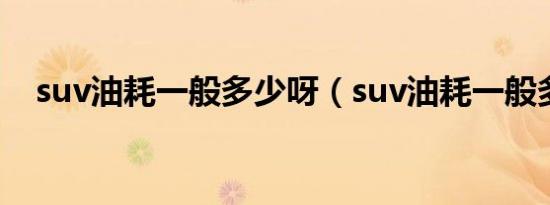 suv油耗一般多少呀（suv油耗一般多少）