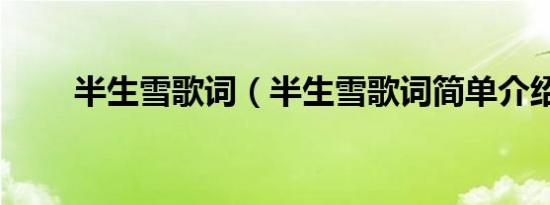半生雪歌词（半生雪歌词简单介绍）