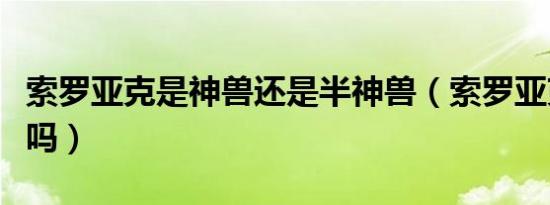 索罗亚克是神兽还是半神兽（索罗亚克是神兽吗）