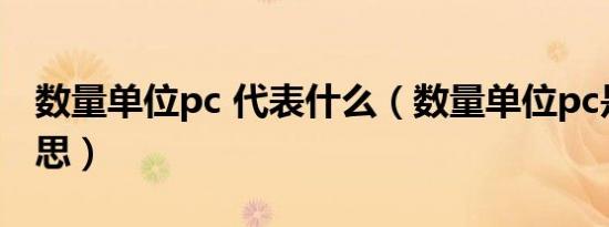 数量单位pc 代表什么（数量单位pc是什么意思）