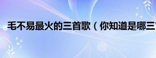 毛不易最火的三首歌（你知道是哪三首吗）