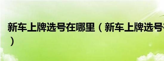 新车上牌选号在哪里（新车上牌选号在哪里选）