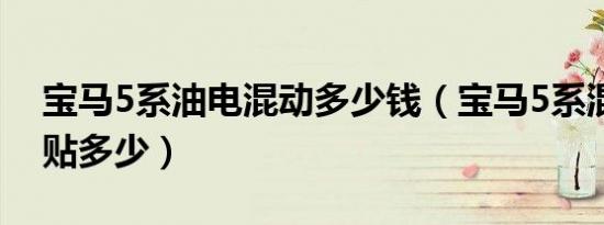 宝马5系油电混动多少钱（宝马5系混动版补贴多少）
