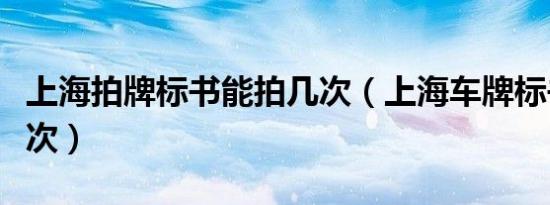 上海拍牌标书能拍几次（上海车牌标书能拍几次）