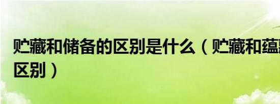 贮藏和储备的区别是什么（贮藏和蕴藏有什么区别）