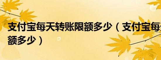 支付宝每天转账限额多少（支付宝每天转账限额多少）