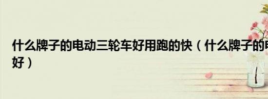 什么牌子的电动三轮车好用跑的快（什么牌子的电动三轮车好）