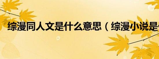 综漫同人文是什么意思（综漫小说是什么）