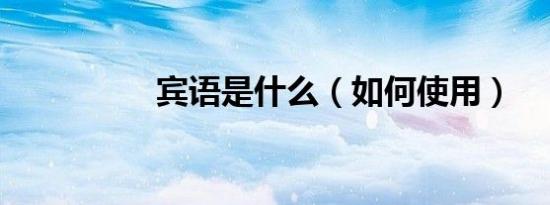 宾语是什么（如何使用）