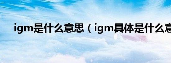 igm是什么意思（igm具体是什么意思）