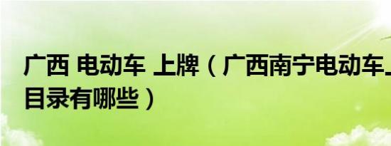 广西 电动车 上牌（广西南宁电动车上牌型号目录有哪些）