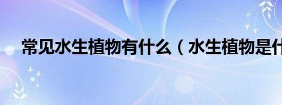 常见水生植物有什么（水生植物是什么）