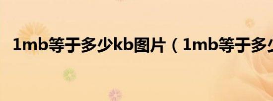 1mb等于多少kb图片（1mb等于多少kb）