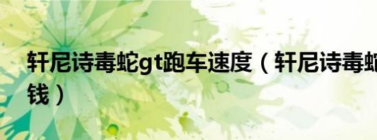 轩尼诗毒蛇gt跑车速度（轩尼诗毒蛇gt多少钱）