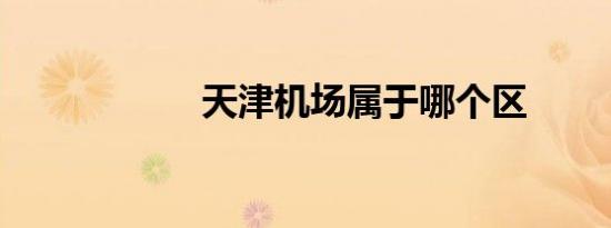 天津机场属于哪个区