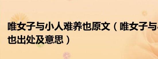 唯女子与小人难养也原文（唯女子与小人难养也出处及意思）
