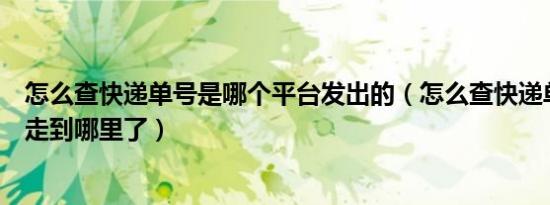 怎么查快递单号是哪个平台发出的（怎么查快递单号看包裹走到哪里了）
