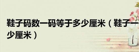 鞋子码数一码等于多少厘米（鞋子一码等于多少厘米）