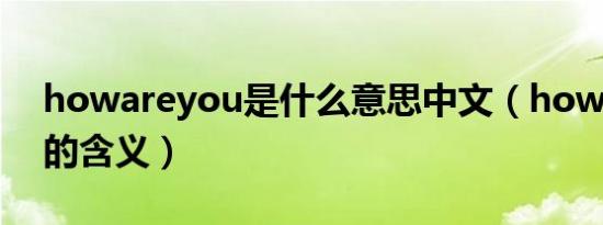 howareyou是什么意思中文（howareyou的含义）