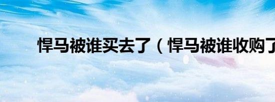 悍马被谁买去了（悍马被谁收购了）