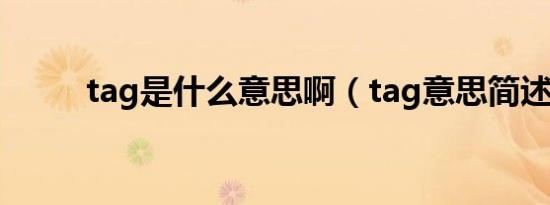 tag是什么意思啊（tag意思简述）