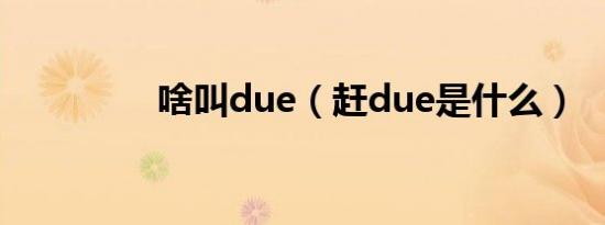 啥叫due（赶due是什么）