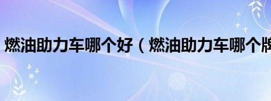 燃油助力车哪个好（燃油助力车哪个牌子好）