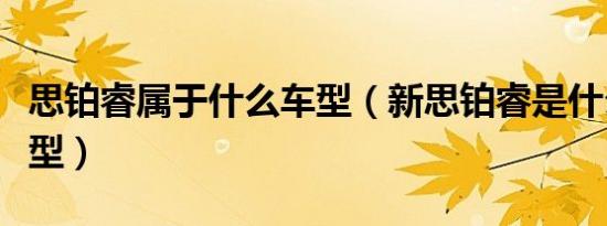 思铂睿属于什么车型（新思铂睿是什么级别车型）