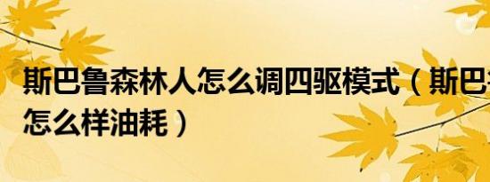斯巴鲁森林人怎么调四驱模式（斯巴鲁森林人怎么样油耗）