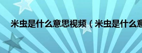 米虫是什么意思视频（米虫是什么意思）