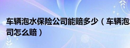 车辆泡水保险公司能赔多少（车辆泡水保险公司怎么赔）