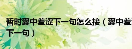 暂时囊中羞涩下一句怎么接（囊中羞涩怎么接下一句）