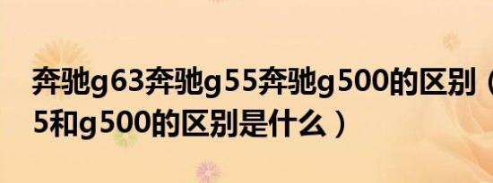 奔驰g63奔驰g55奔驰g500的区别（奔驰g65和g500的区别是什么）