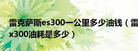 雷克萨斯es300一公里多少油钱（雷克萨斯ex300油耗是多少）