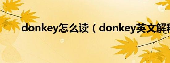 donkey怎么读（donkey英文解释）