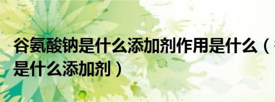 谷氨酸钠是什么添加剂作用是什么（谷氨酸钠是什么添加剂）