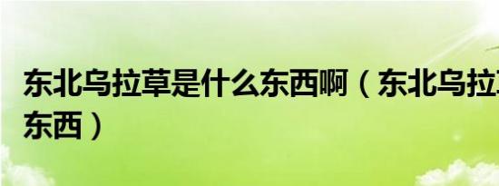 东北乌拉草是什么东西啊（东北乌拉草是什么东西）