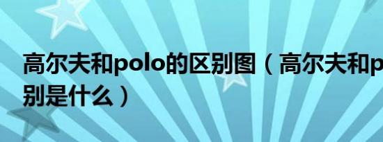 高尔夫和polo的区别图（高尔夫和polo的区别是什么）
