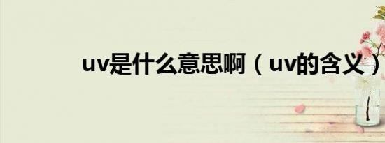 uv是什么意思啊（uv的含义）
