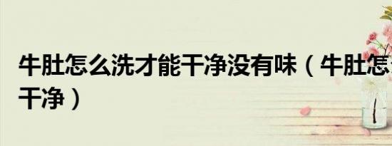 牛肚怎么洗才能干净没有味（牛肚怎么洗才能干净）