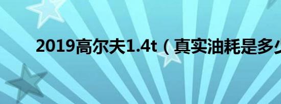 2019高尔夫1.4t（真实油耗是多少）