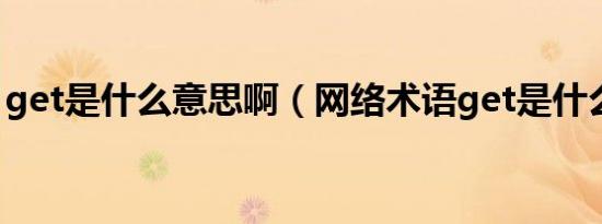 get是什么意思啊（网络术语get是什么意思）