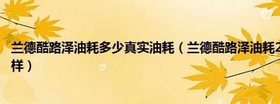 兰德酷路泽油耗多少真实油耗（兰德酷路泽油耗24个油怎么样）
