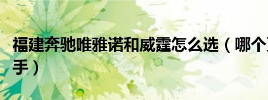 福建奔驰唯雅诺和威霆怎么选（哪个更值得入手）