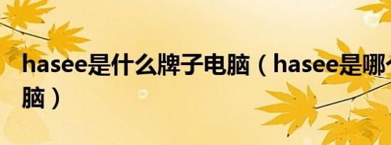 hasee是什么牌子电脑（hasee是哪个牌子电脑）