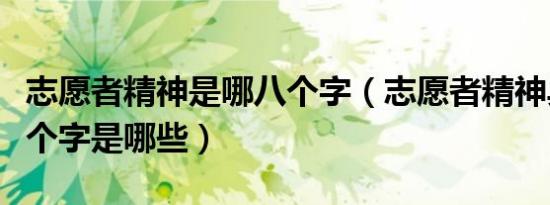 志愿者精神是哪八个字（志愿者精神具体的八个字是哪些）