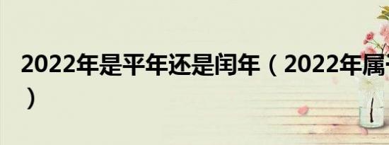 2022年是平年还是闰年（2022年属于什么年）